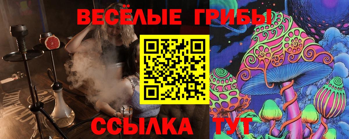 Дедовск  Галлюциногенные грибы мицелий  Псилоцибиновые грибы мухоморы  Вход с VPN 