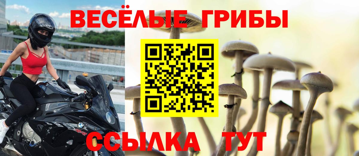 Галлюциногенные грибы мухоморы Дедовск